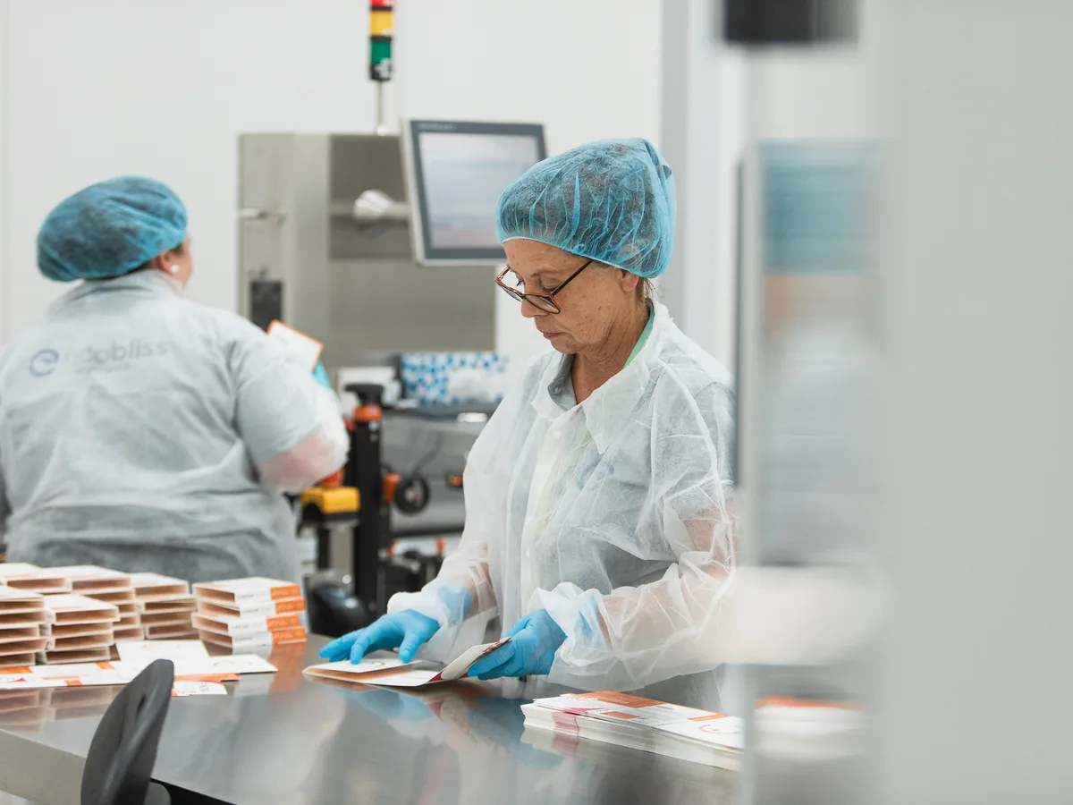 Two operators in hairnets and gloves sorting printed cartons at a steel table by a packaging line