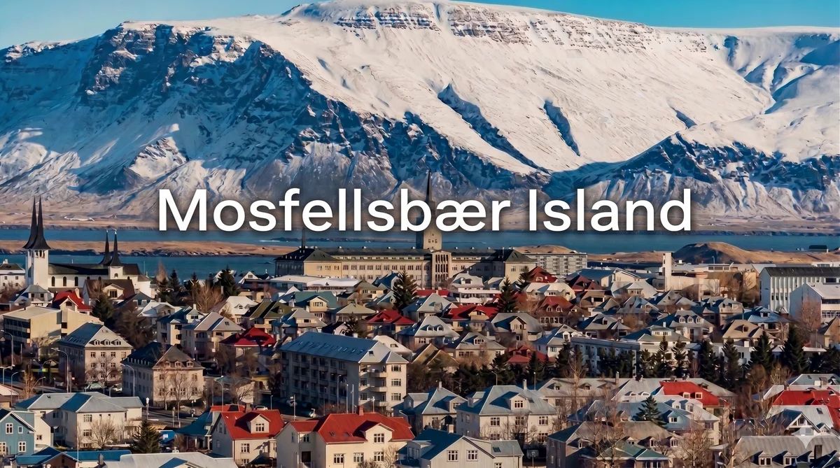 Habbie växer på Island