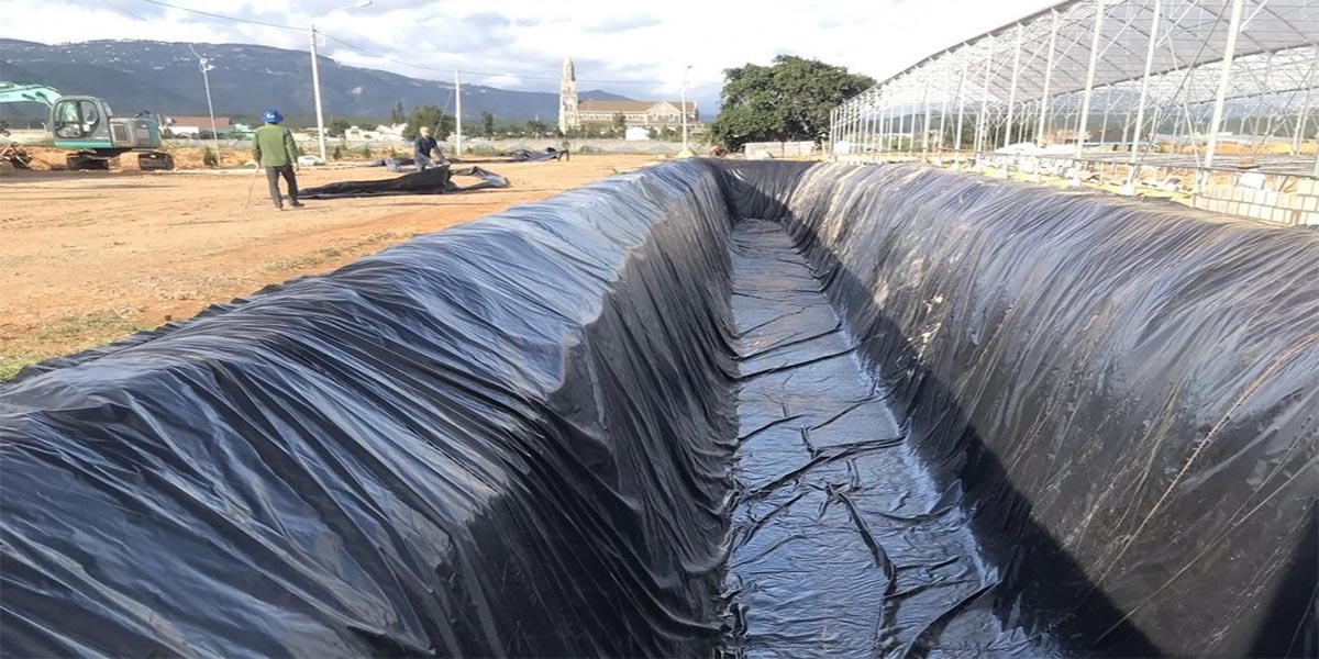 Màng hdpe