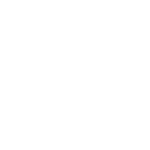 developer mode