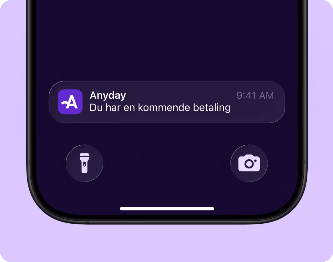 Anyday Type of Payment example