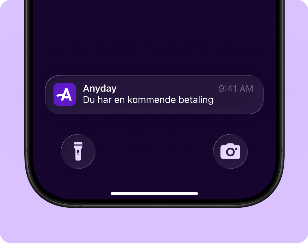 Anyday Type of Payment example