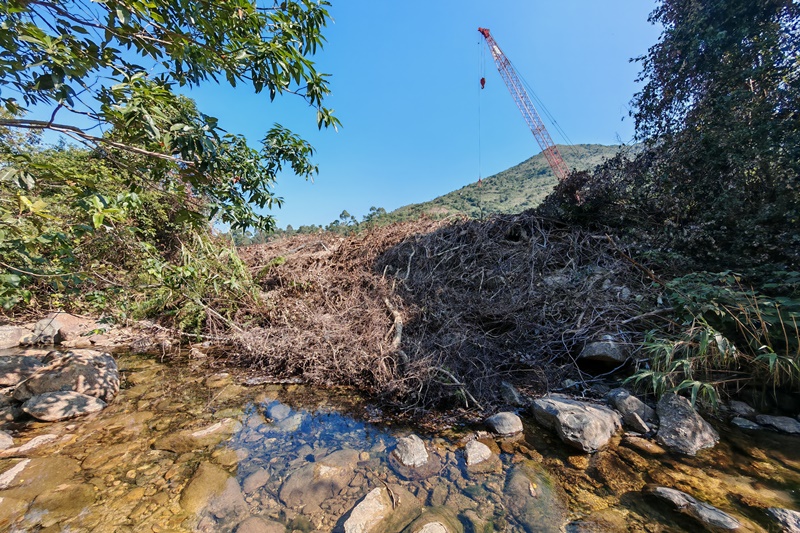 The riverbank vegetation is cleared