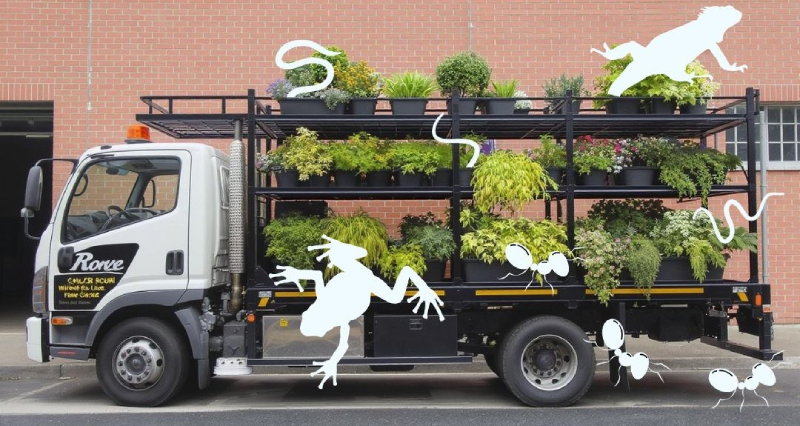Outline figures of various animals crawling out of a truck loaded with pot plants