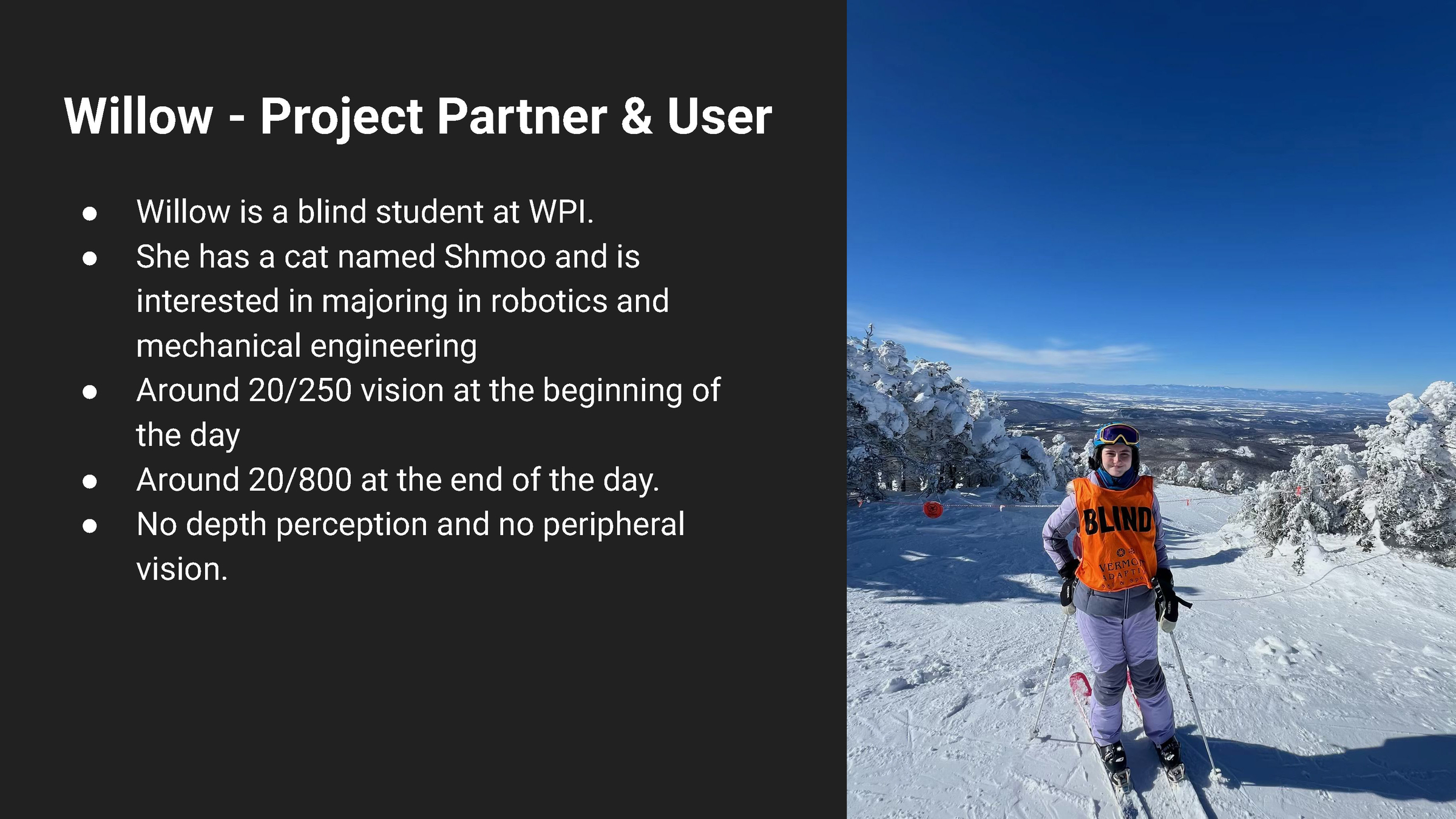 Presentation slide introducing Willow, the project partner