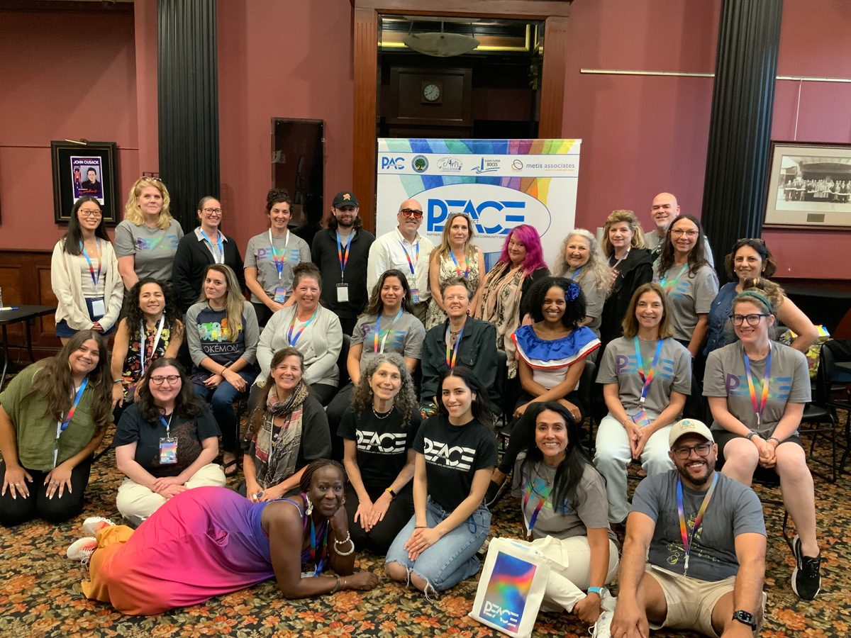 Peace Project Institute 2025