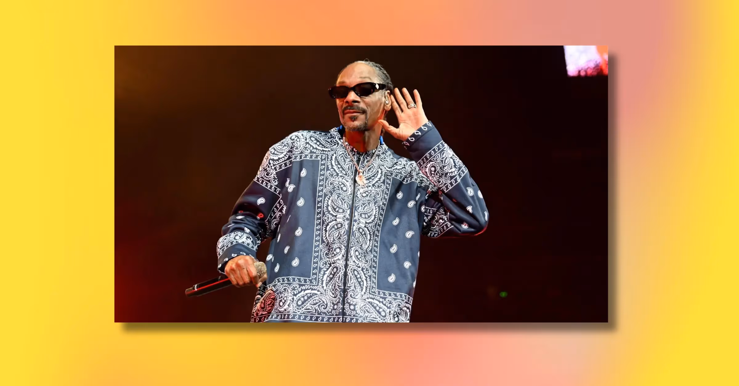 Snoop Dogg Pinball Theme