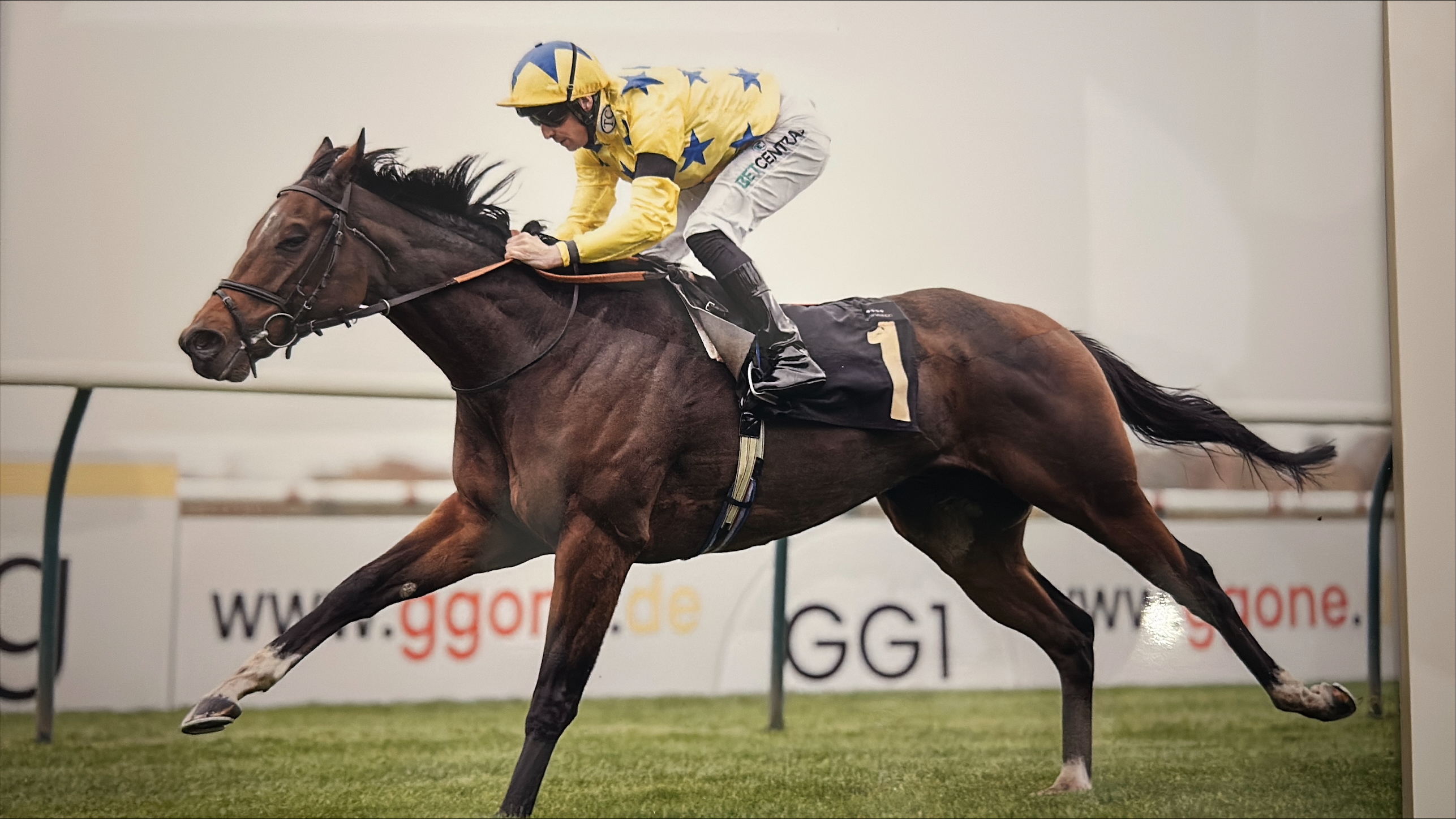 Lord Normandy romps to 'Whip' success