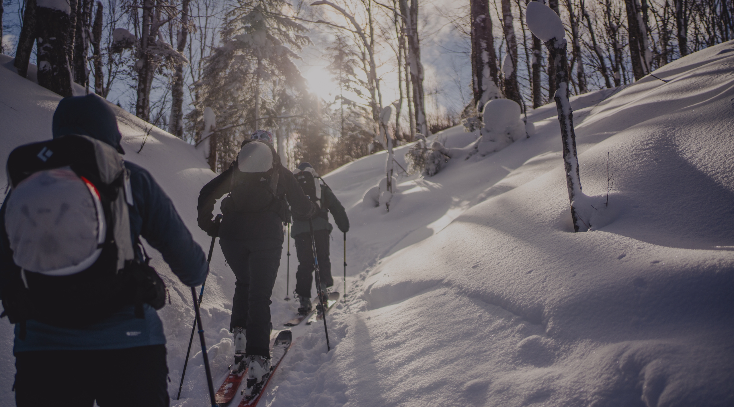 Les Chèvres de Montagne Communauté de Plein Air