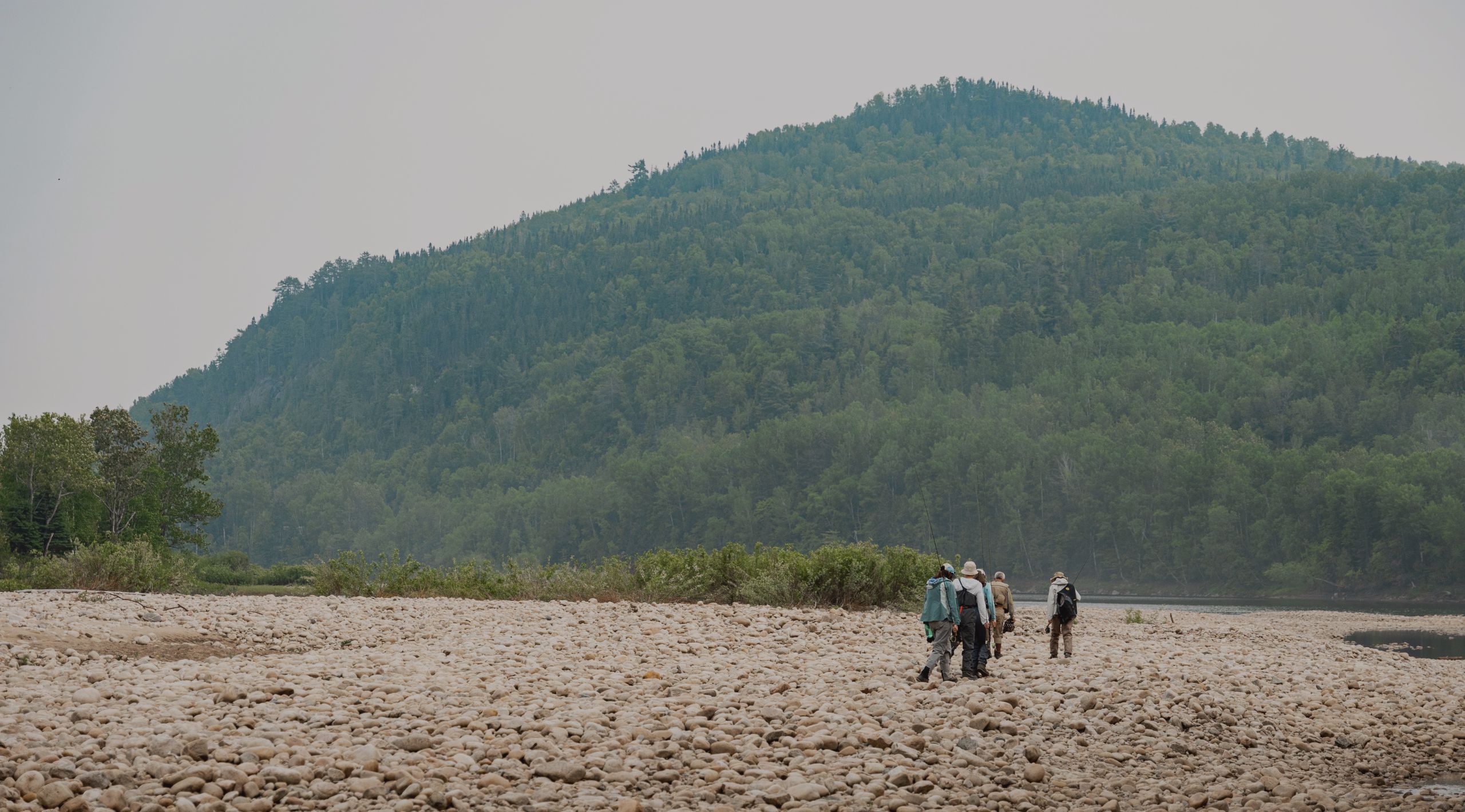 Image de la boutique des Chèvres de Montagne