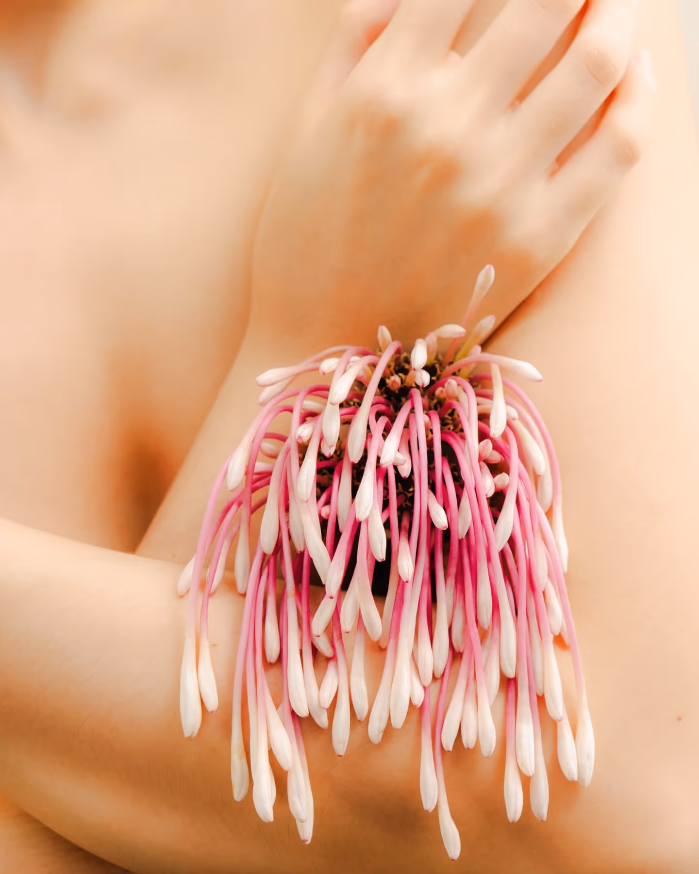 Body as a Vessel (Vol. 1)
