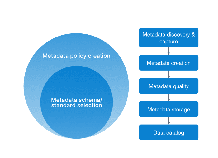 a venn diagram of sorts, showing meta data policies within other policies