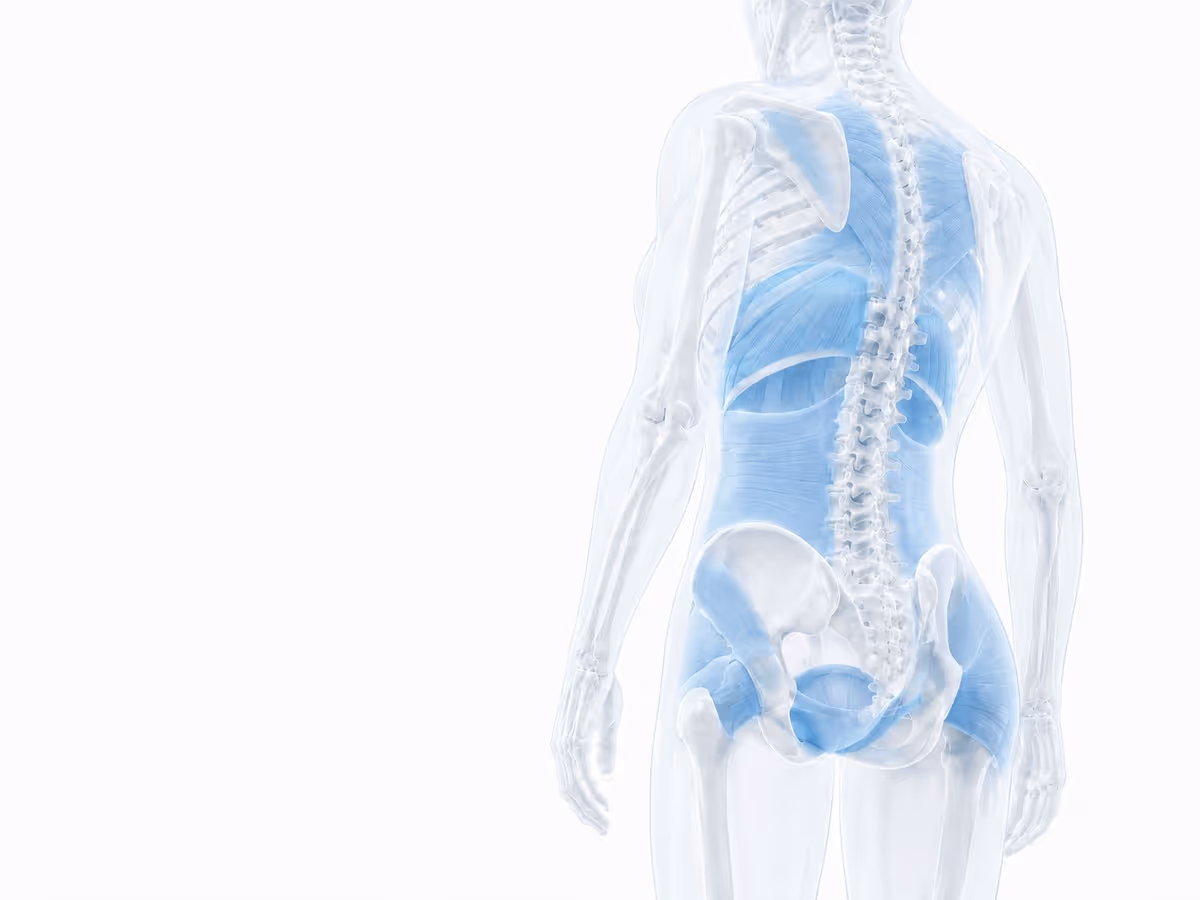 Deep stabilizing muscles retrained in the second layer of the MAPS Protocol