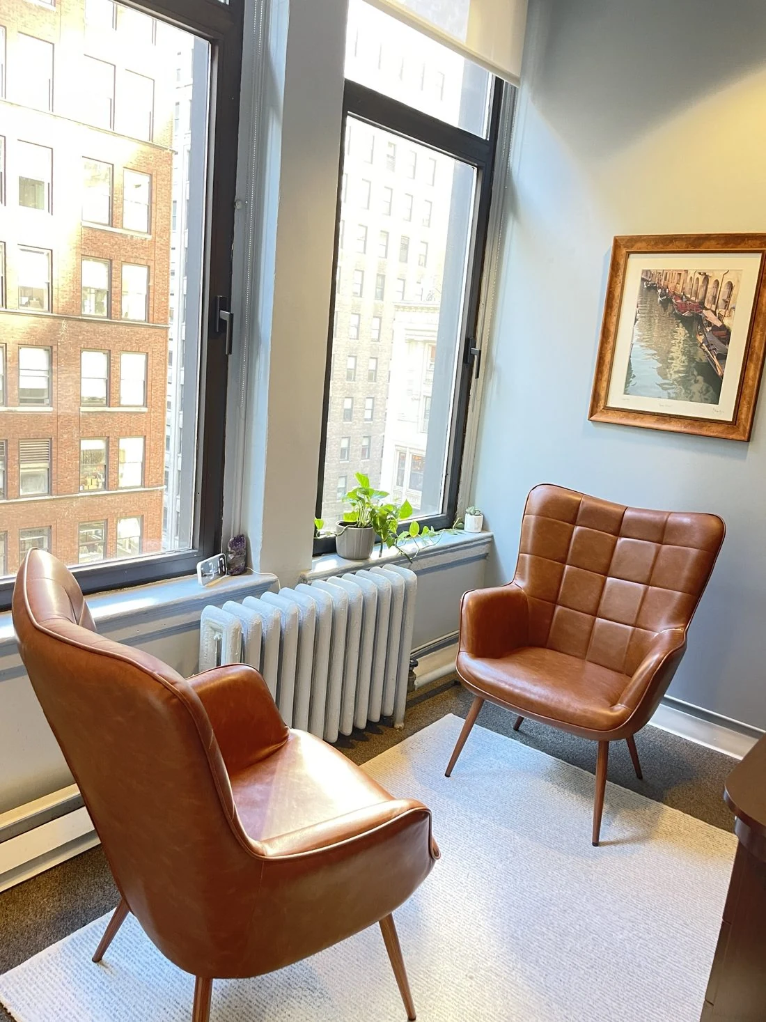 Bright private therapy office with two leather armchairs, very large windows, plants, and framed artwork