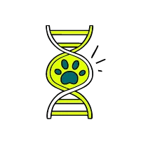 Zeichnung eines Regenschirmes symbolisiert, dass der Hund und die Katze mit der Haustierversicherung von Calingo optimal geschützt sind