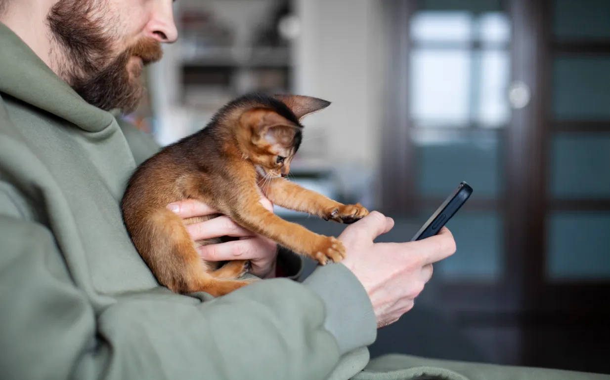 A dog sitting on a boat in the sea