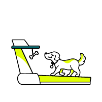 Zeichnung eines Smartphones mit Stethoskop symbolisiert, dass bei der Haustierversicherung grostis online Tierarztkonsultationen inbegriffen sind