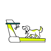Drawing of a smartphone with a stethoscope symbolizes that online veterinary consultations are included with grostis pet insurance