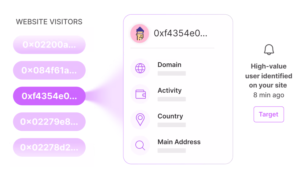 Interface showing a list of wallet addresses titled 'Wallet Visitors' on the left, with the third address highlighted and connected to a detail pane on the right displaying an avatar, truncated wallet address, and data fields for Domain, Activity, Country, and Main Address, along with a 'Target' button.