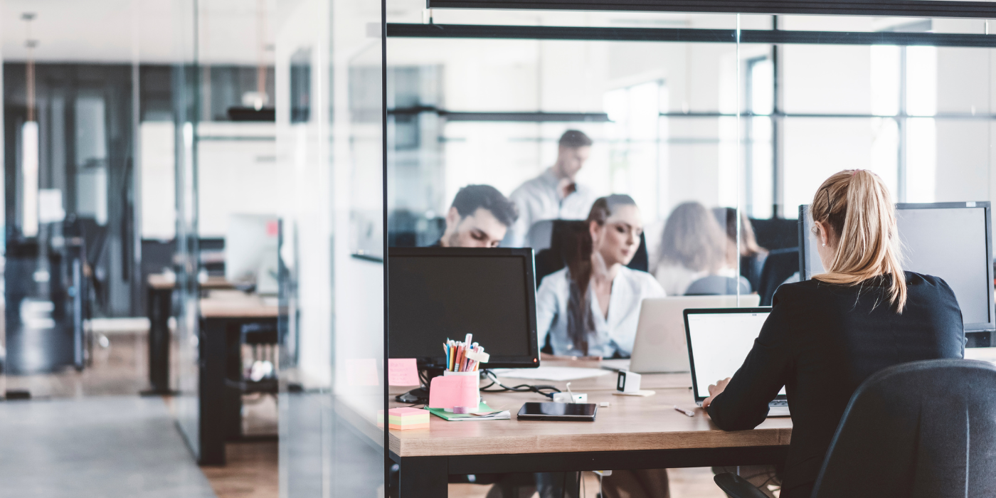 Galp & Co - Employés concentrés dans un open space moderne avec cloisons vitrées et ambiance professionnelle