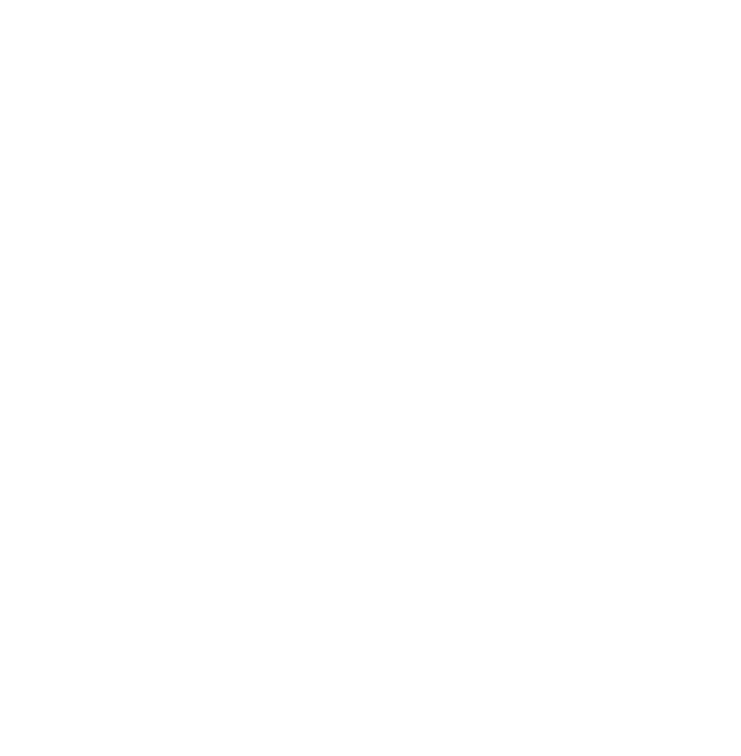 tripadvisor travellers choice logo