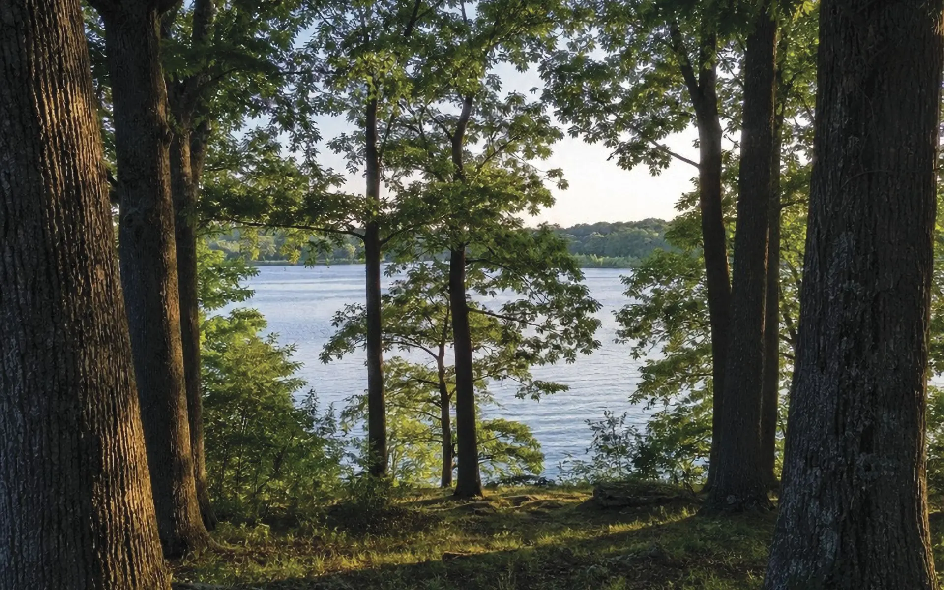 Hidden Oaks