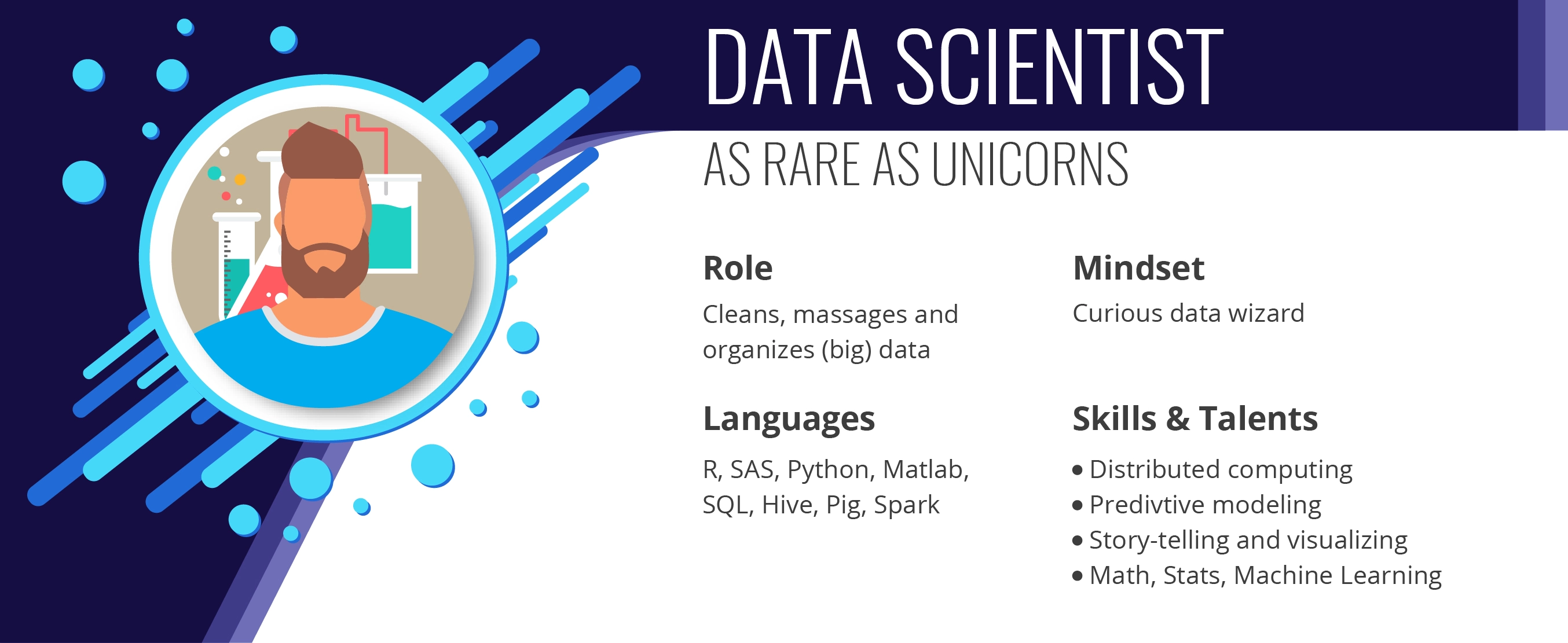 Data-Scientist Skills