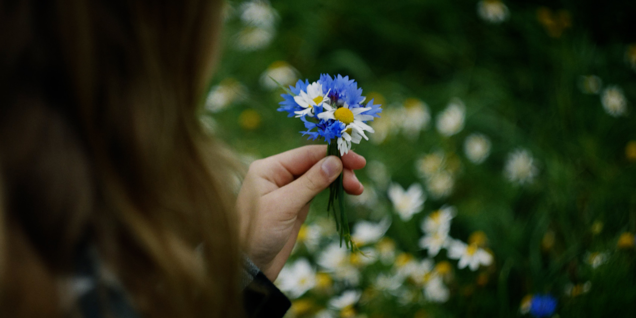 Bilskådaren project thumnail