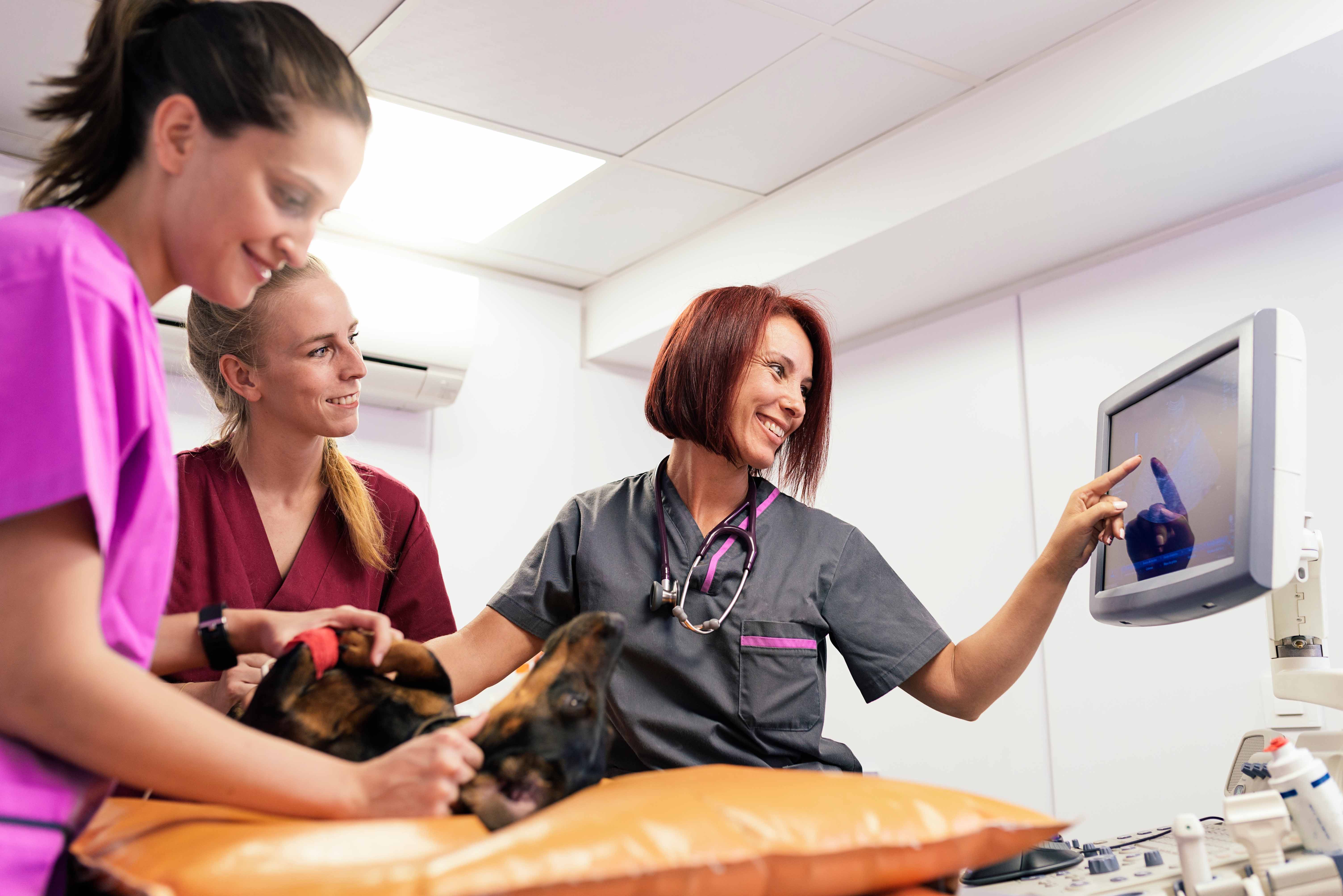 Nurses studying