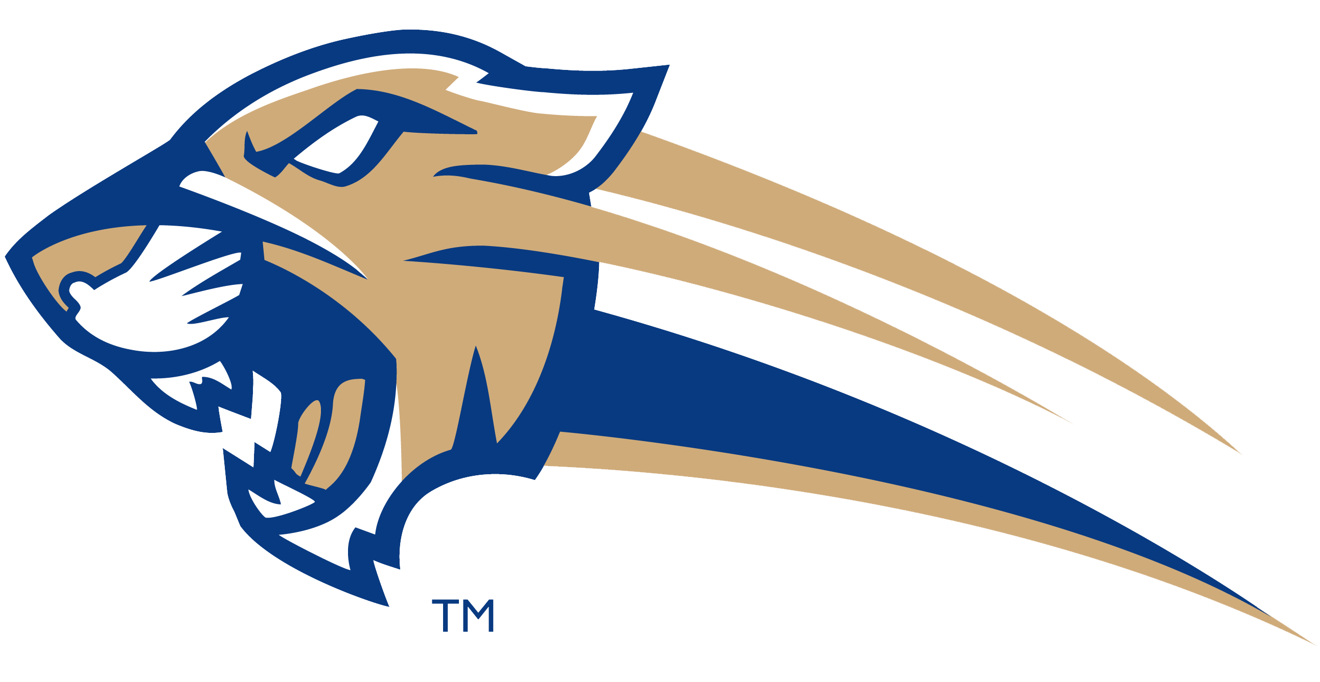 Steele canyon high school logo