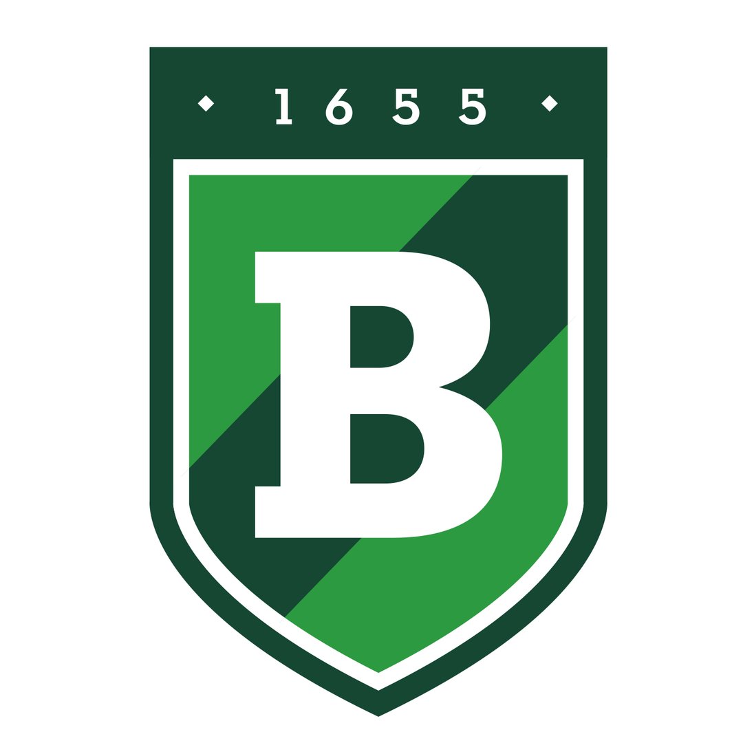 Billerica HS logo