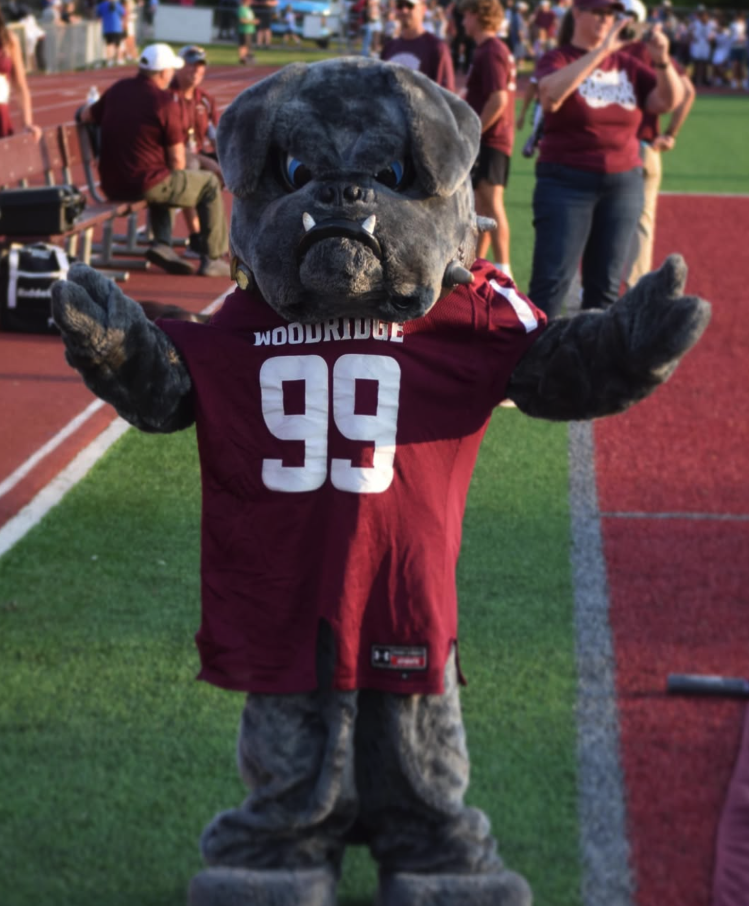 Woodridge high school scoreboard partner school mascot