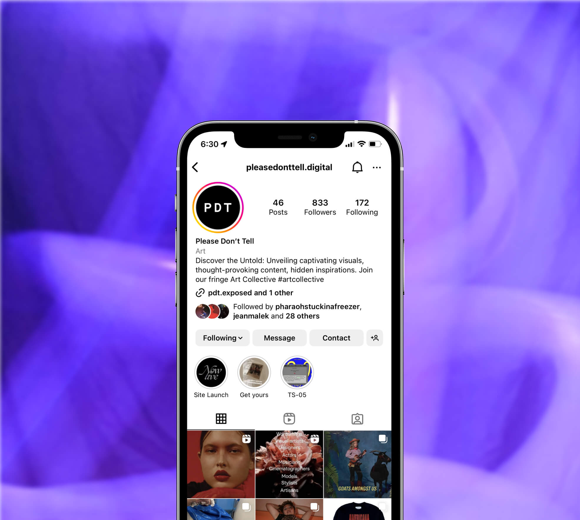 purple background with mobile phone screen overlay showing the please don't tell instagram page
