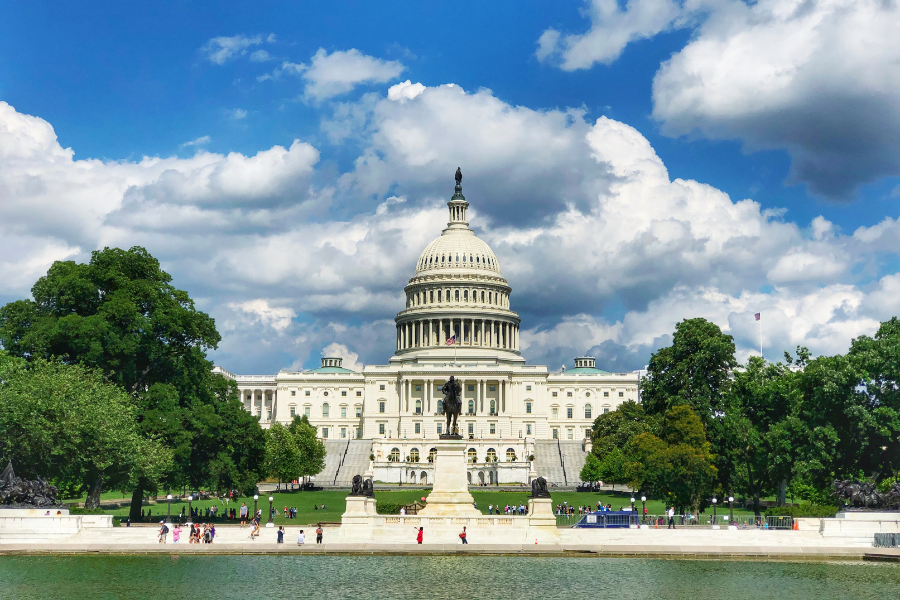 Japanese Lessons in Washington DC: Top 5 Courses & Tutors (2026)