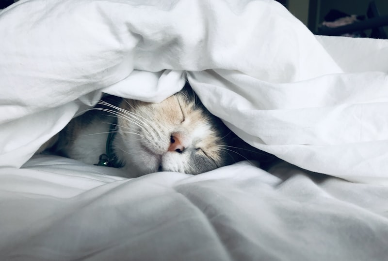 Person struggling to sleep due to allergy congestion