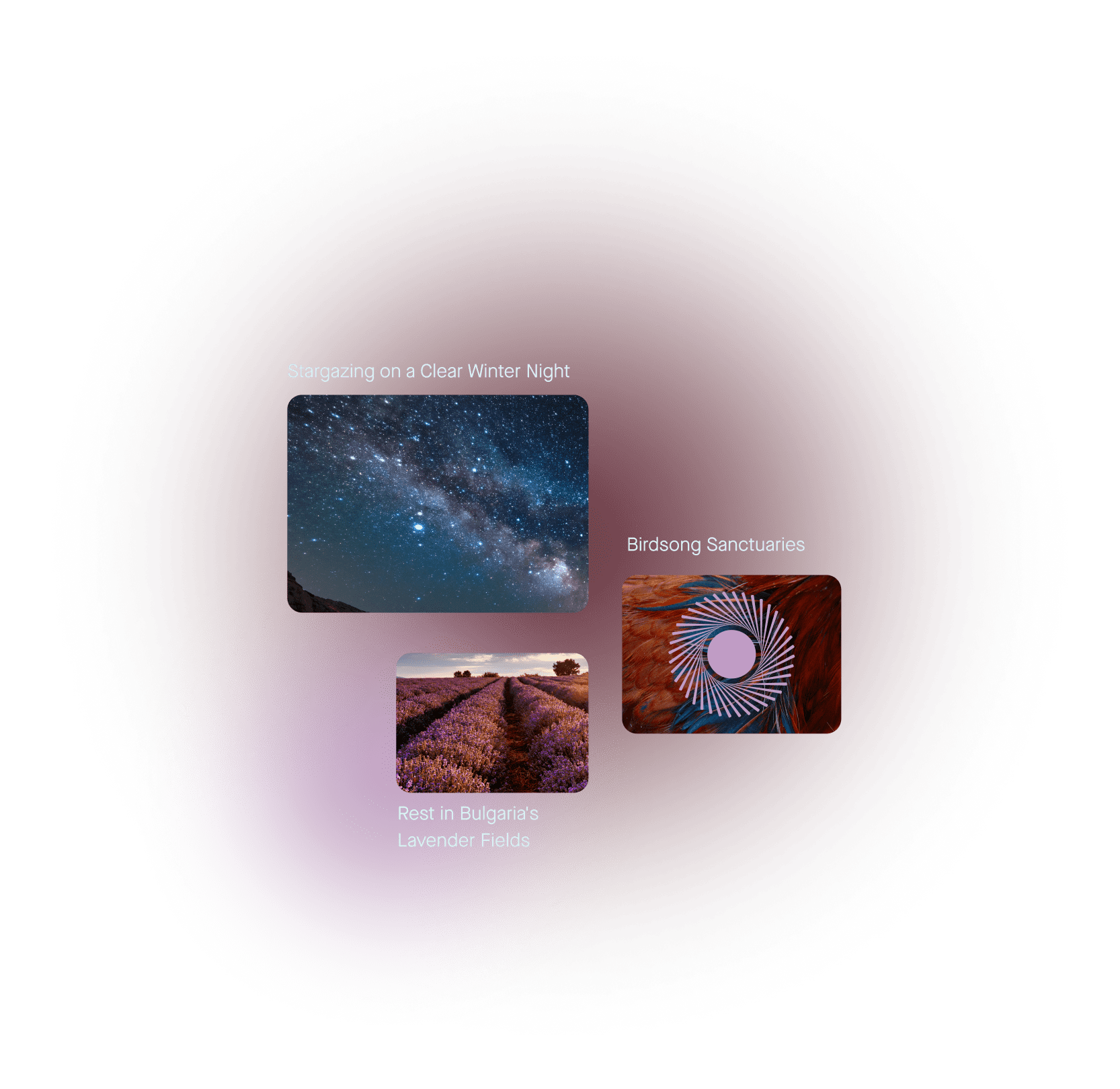 A dark red glowing circular background contains three labeled image cards: a star-filled night sky titled “Stargazing on a Clear Winter Night,” purple lavender fields titled “Rest in Bulgaria’s Lavender Fields,” and a colorful abstract bird-themed image titled “Birdsong Sanctuaries.”