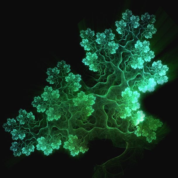 A luminous green fractal pattern resembling a branching tree or coral spreads across a black background.