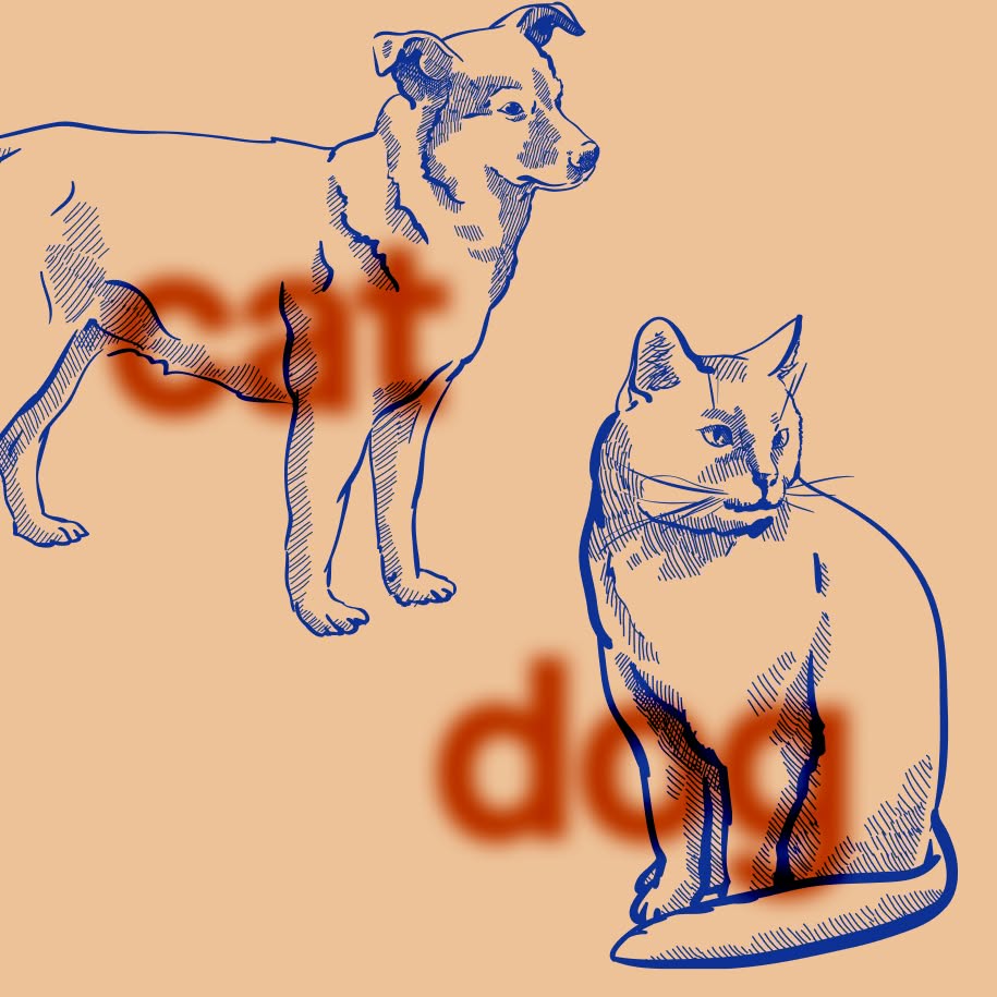 Blue line drawings of a standing dog and seated cat appear on a peach background, with blurred red words partially visible behind them.
