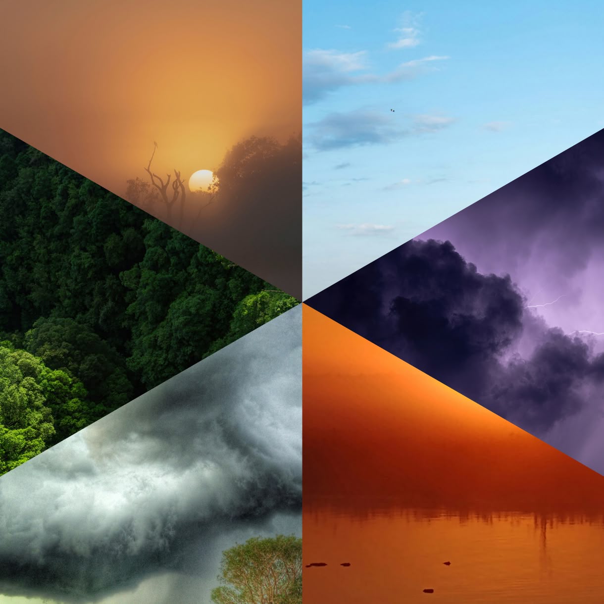 A circular collage divided into six wedge-shaped landscape scenes shows forest, wetlands, sunset, storm clouds, mist, and orange-toned water against a pale lavender background.