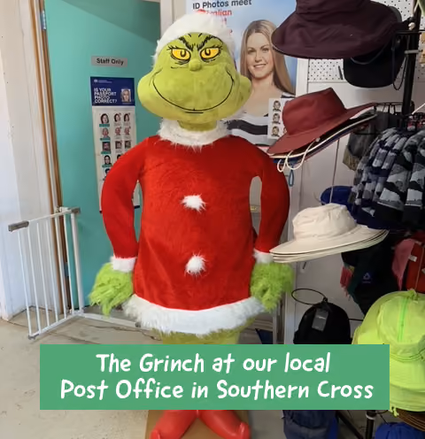 The Grinch at our local Post Office in Southern Cross