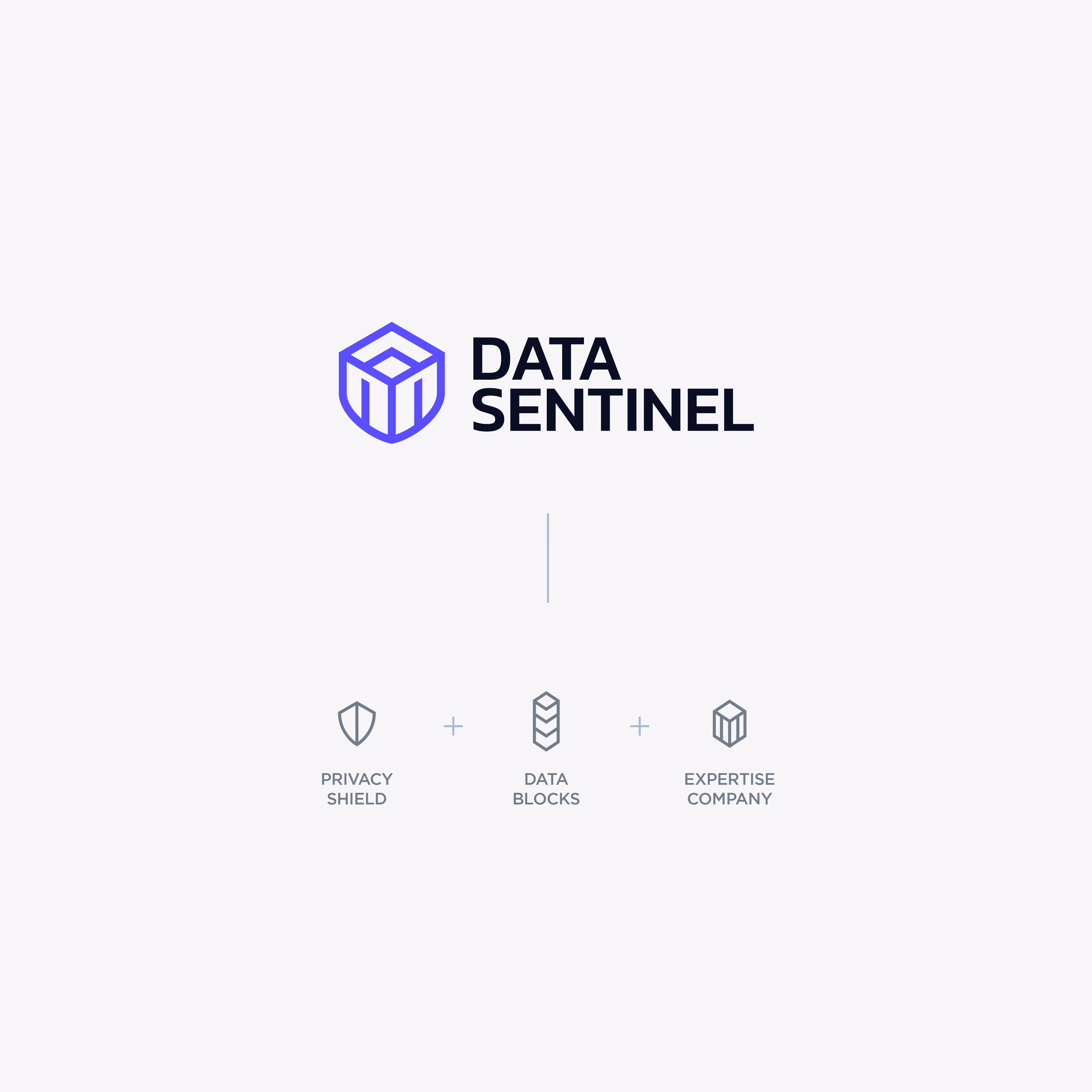 Data Sentinel