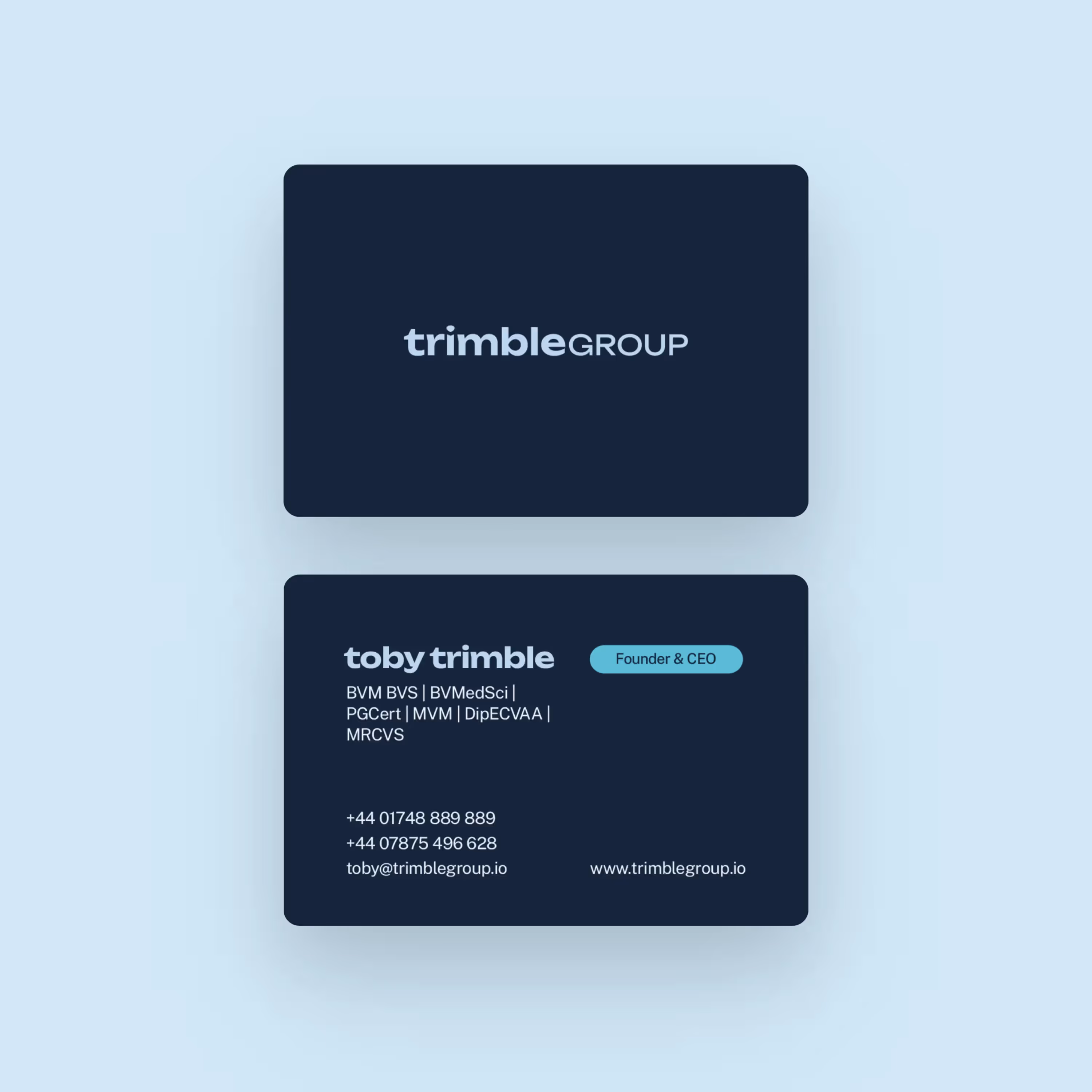 Professional Services