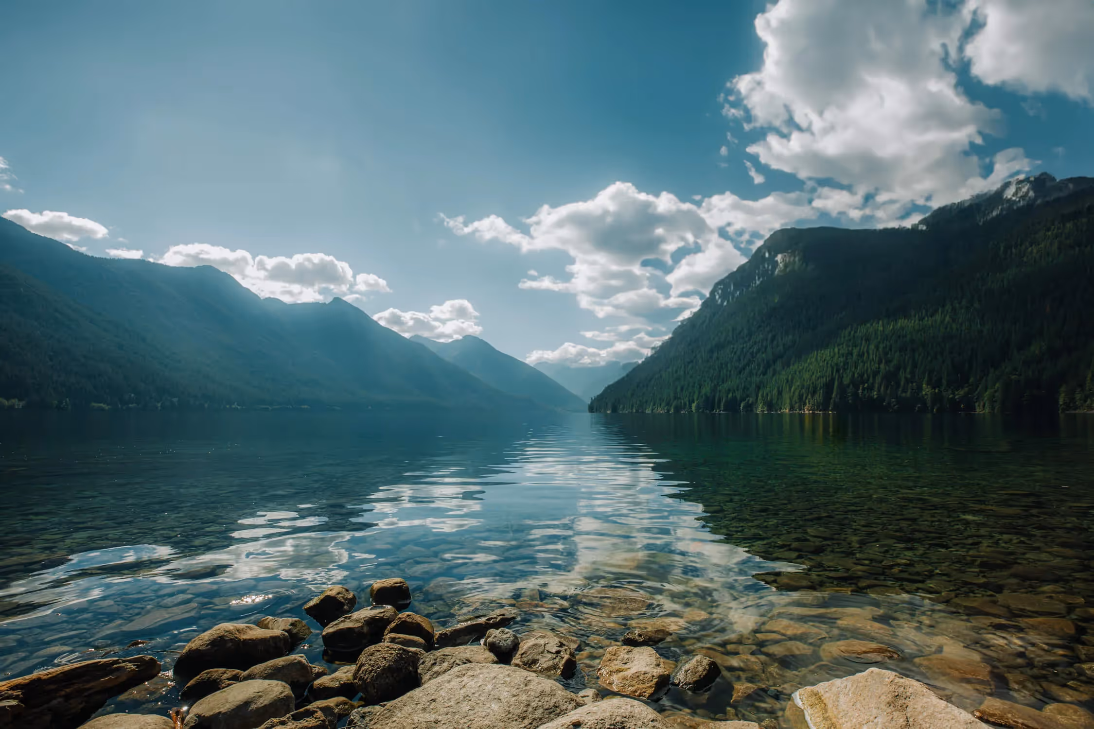 A Nonprofit Brand That Drives Your Mission Forward