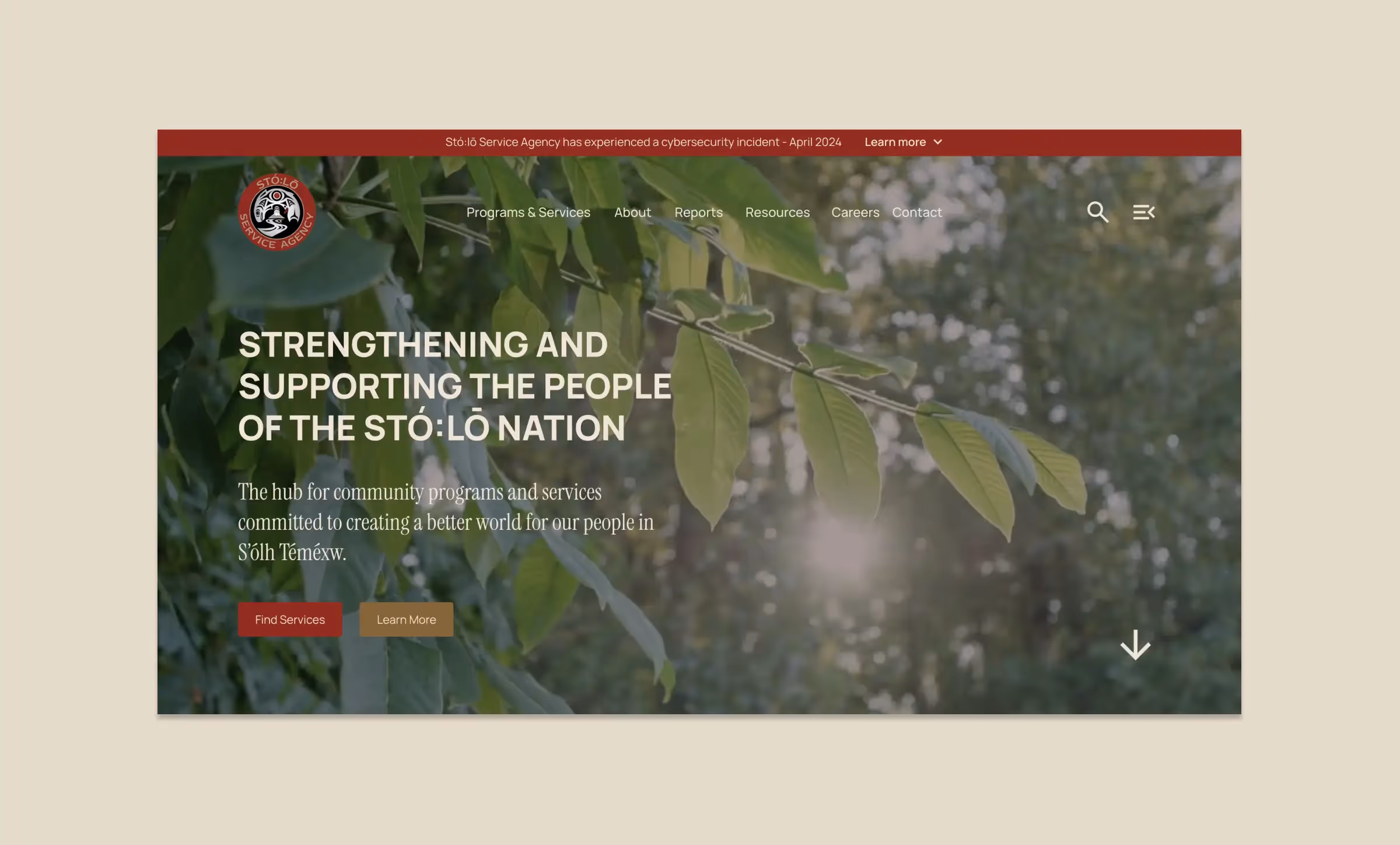 Empowering First Nations with Modern, Connected Brands and Websites