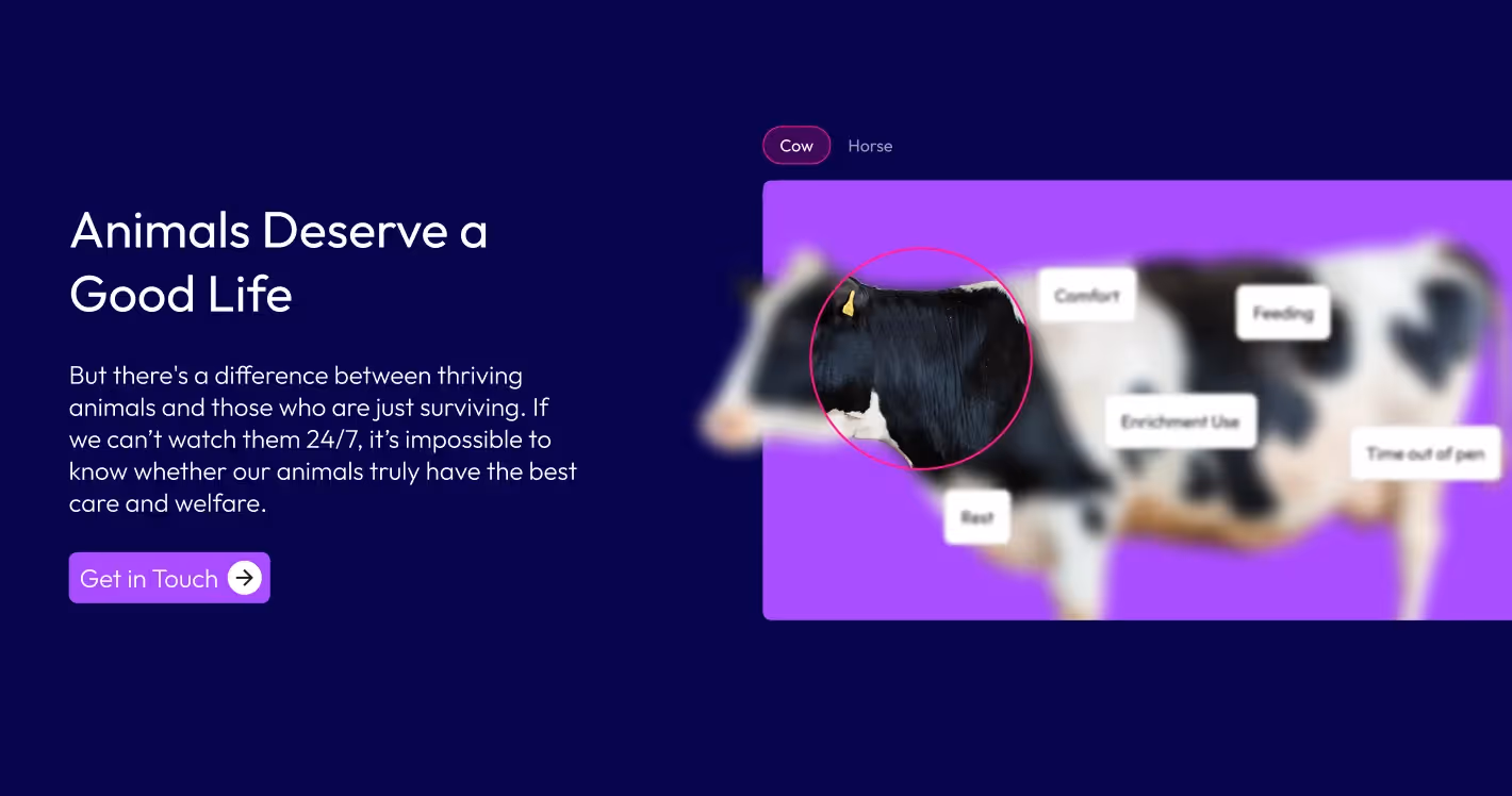 Vet Vision AI