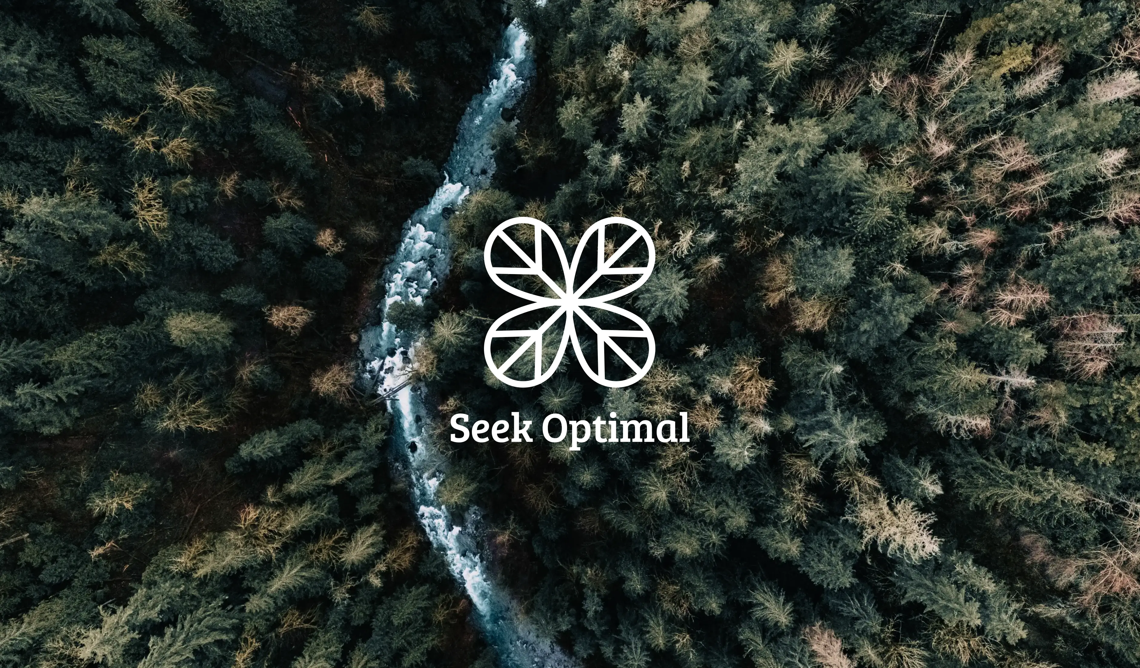 Seek Optimal