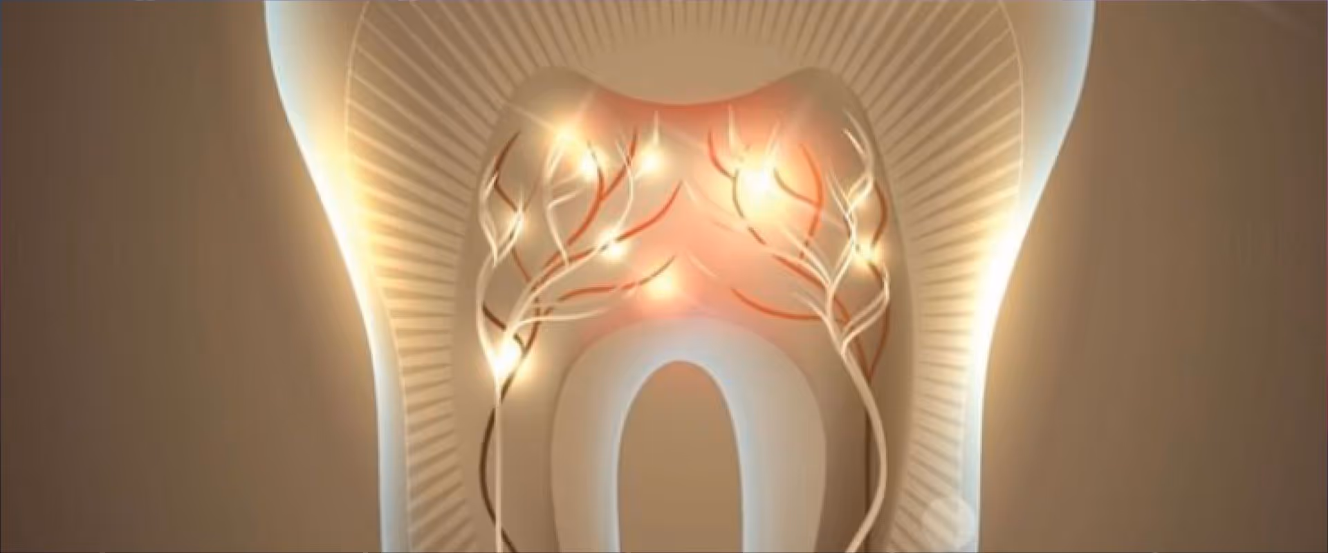 Korrekte Lichtpolymerisation von Kompositen