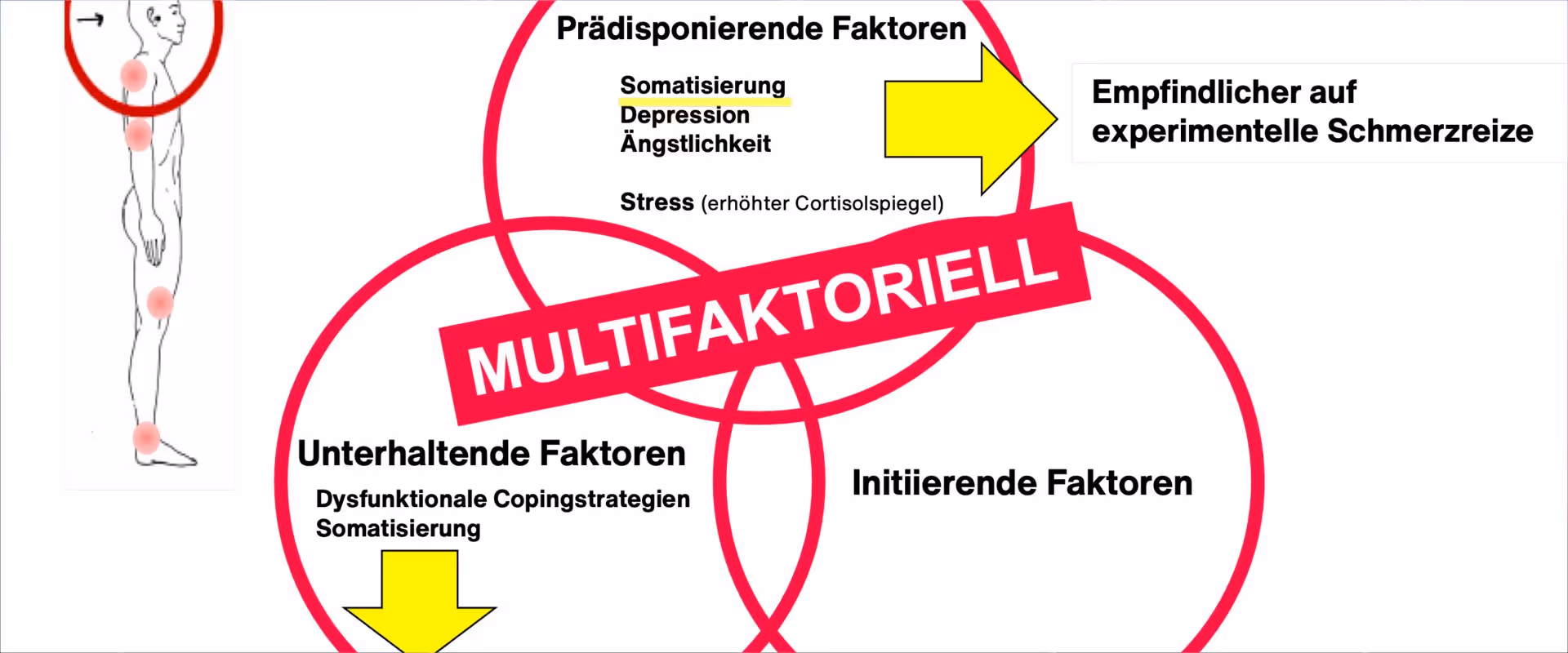 Achse II angesichts Craniomandibulärer Funktionsstörungen