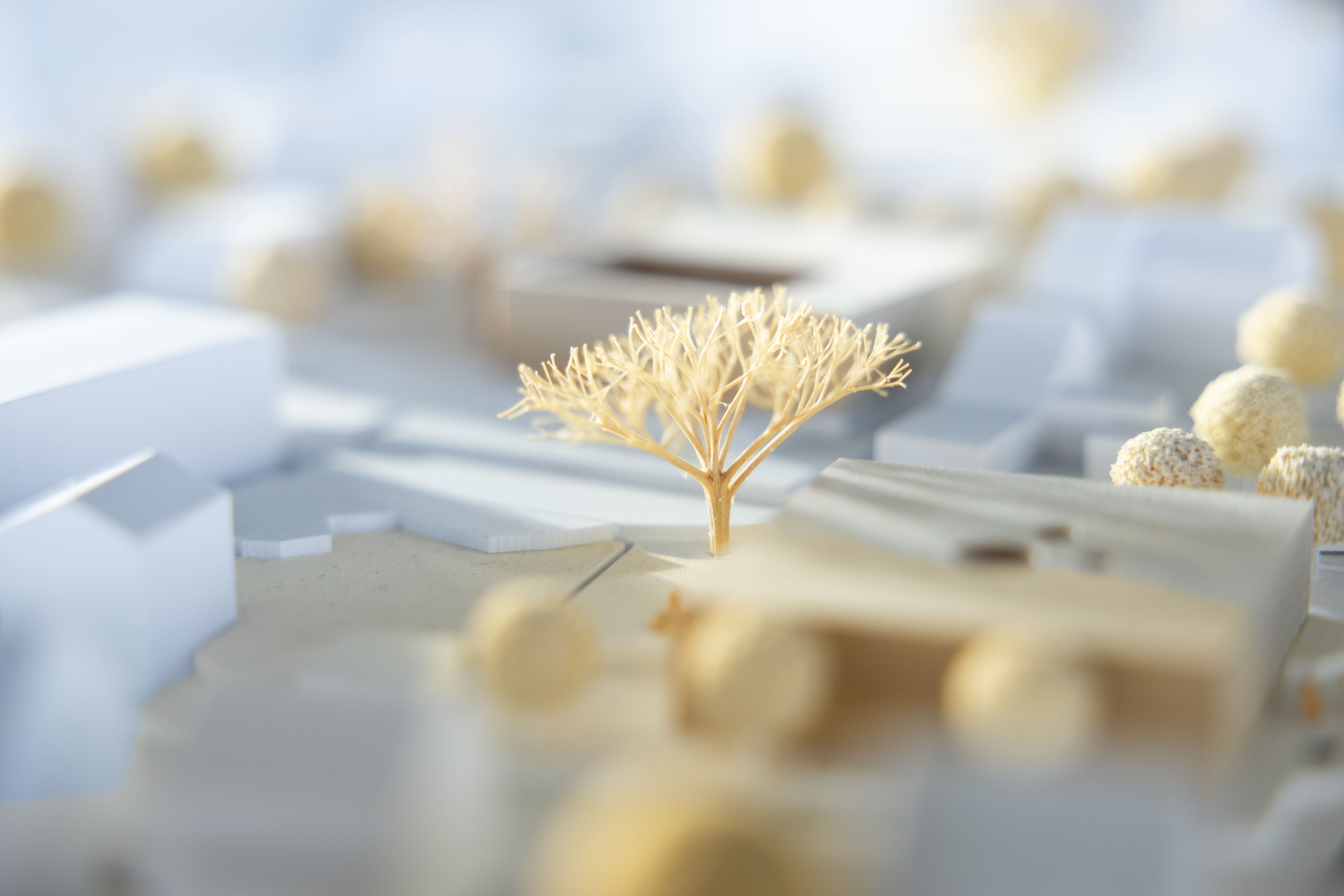 Architectural model of a school.