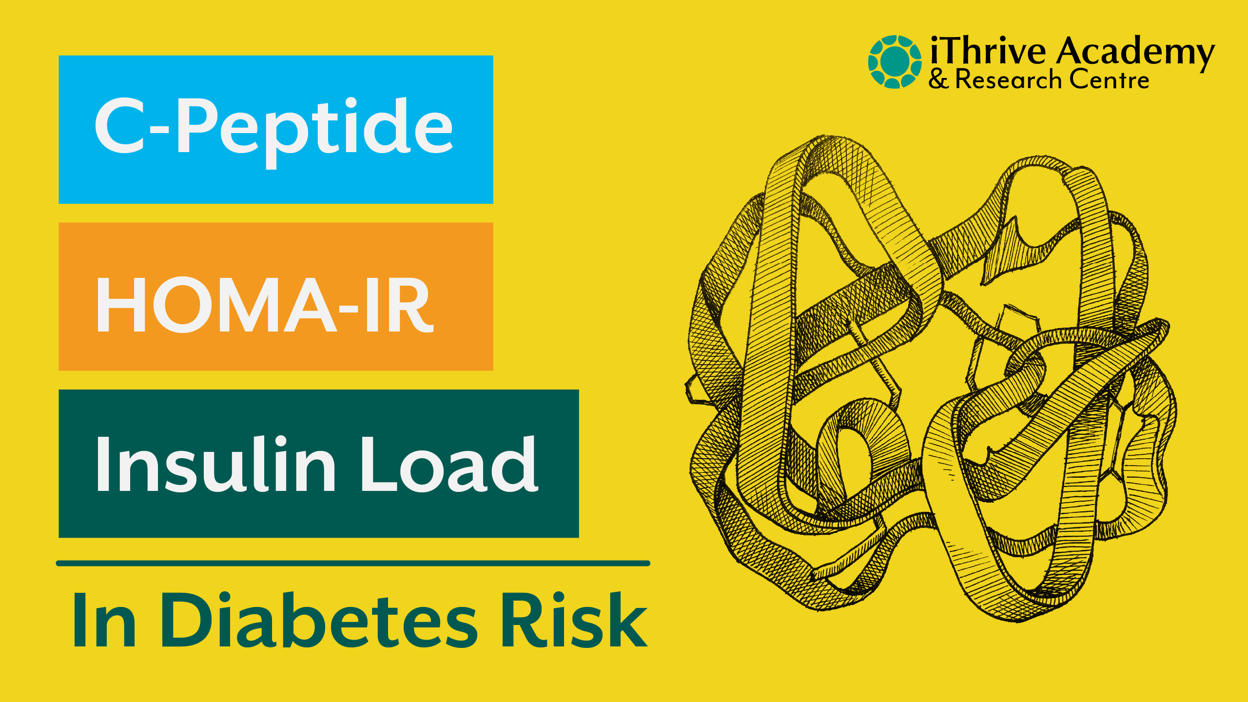 HOMA-IR, C-Peptide, and Insulin Load: Building a Better Framework for Diabetes Risk Assessment
